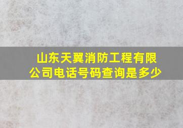 山东天翼消防工程有限公司电话号码查询是多少