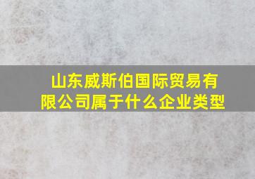 山东威斯伯国际贸易有限公司属于什么企业类型