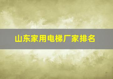 山东家用电梯厂家排名