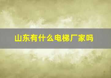 山东有什么电梯厂家吗