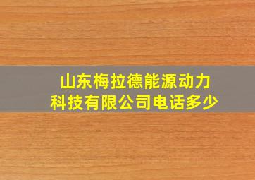 山东梅拉德能源动力科技有限公司电话多少