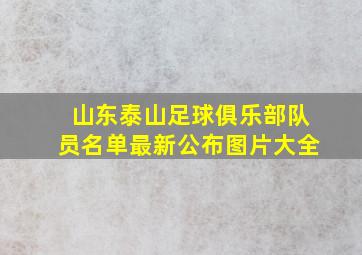 山东泰山足球俱乐部队员名单最新公布图片大全