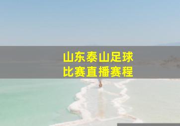 山东泰山足球比赛直播赛程