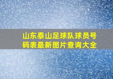 山东泰山足球队球员号码表最新图片查询大全