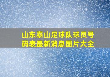 山东泰山足球队球员号码表最新消息图片大全