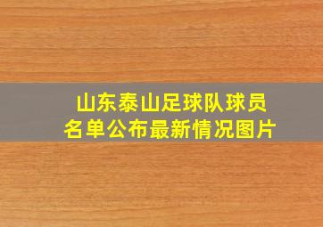 山东泰山足球队球员名单公布最新情况图片