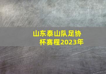 山东泰山队足协杯赛程2023年