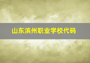 山东滨州职业学校代码