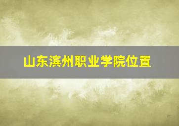 山东滨州职业学院位置