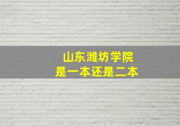 山东潍坊学院是一本还是二本