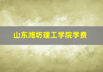 山东潍坊理工学院学费