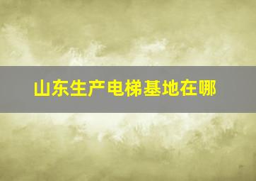 山东生产电梯基地在哪