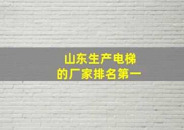 山东生产电梯的厂家排名第一