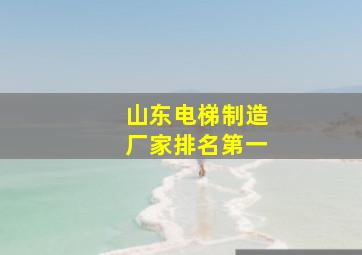 山东电梯制造厂家排名第一