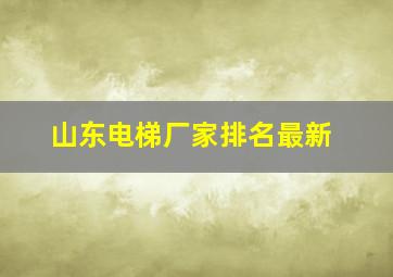 山东电梯厂家排名最新