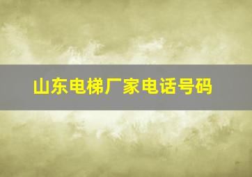 山东电梯厂家电话号码