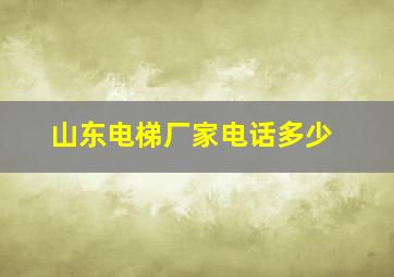 山东电梯厂家电话多少