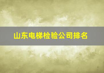 山东电梯检验公司排名