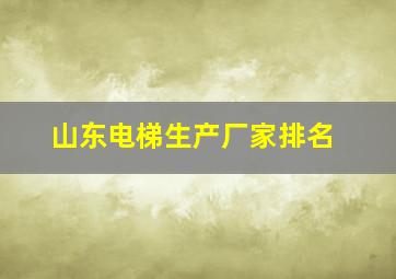 山东电梯生产厂家排名