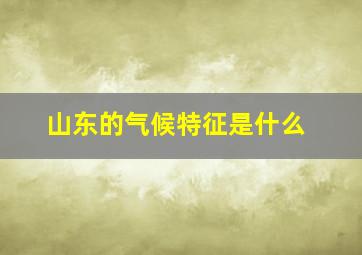 山东的气候特征是什么