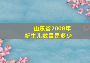 山东省2008年新生儿数量是多少