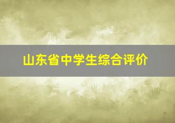 山东省中学生综合评价