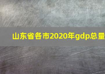 山东省各市2020年gdp总量