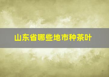 山东省哪些地市种茶叶