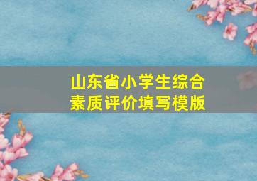 山东省小学生综合素质评价填写模版