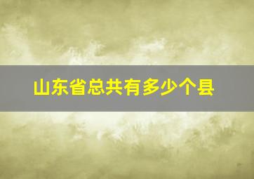 山东省总共有多少个县