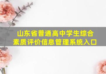 山东省普通高中学生综合素质评价信息管理系统入口