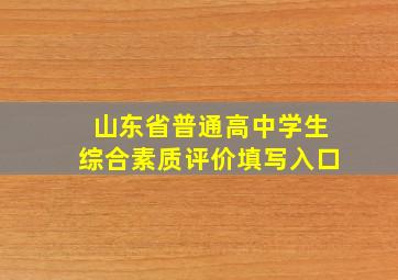 山东省普通高中学生综合素质评价填写入口