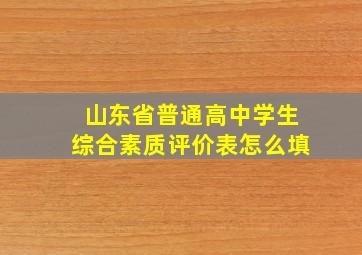 山东省普通高中学生综合素质评价表怎么填