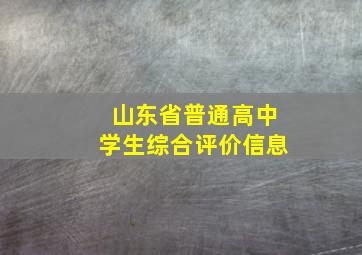 山东省普通高中学生综合评价信息