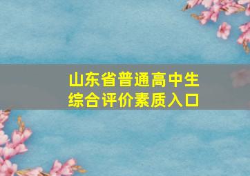 山东省普通高中生综合评价素质入口