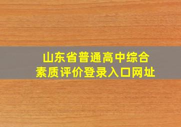 山东省普通高中综合素质评价登录入口网址