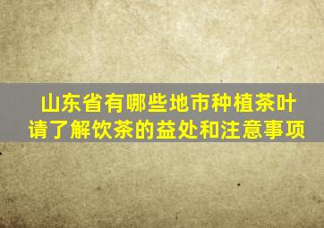 山东省有哪些地市种植茶叶请了解饮茶的益处和注意事项