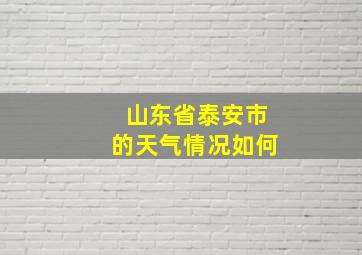 山东省泰安市的天气情况如何