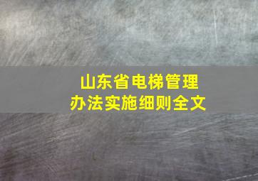 山东省电梯管理办法实施细则全文