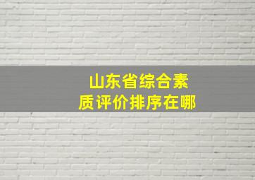 山东省综合素质评价排序在哪