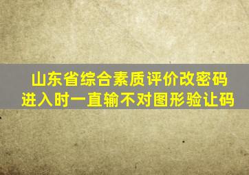 山东省综合素质评价改密码进入时一直输不对图形验让码