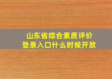 山东省综合素质评价登录入口什么时候开放