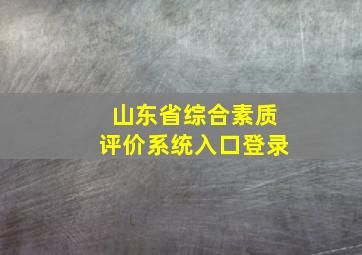 山东省综合素质评价系统入口登录