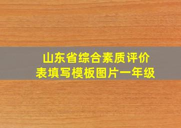 山东省综合素质评价表填写模板图片一年级