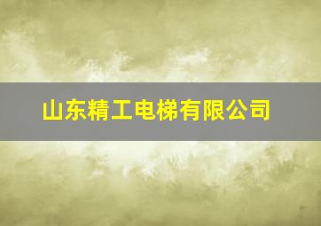 山东精工电梯有限公司