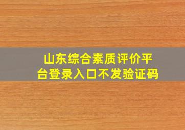 山东综合素质评价平台登录入口不发验证码