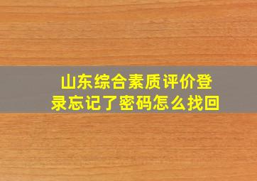 山东综合素质评价登录忘记了密码怎么找回