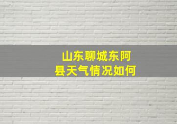 山东聊城东阿县天气情况如何