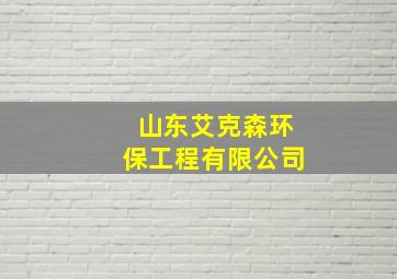 山东艾克森环保工程有限公司