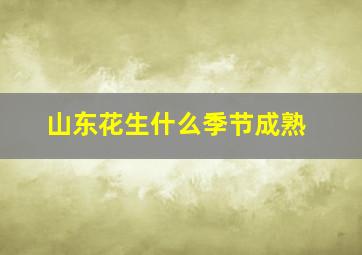 山东花生什么季节成熟